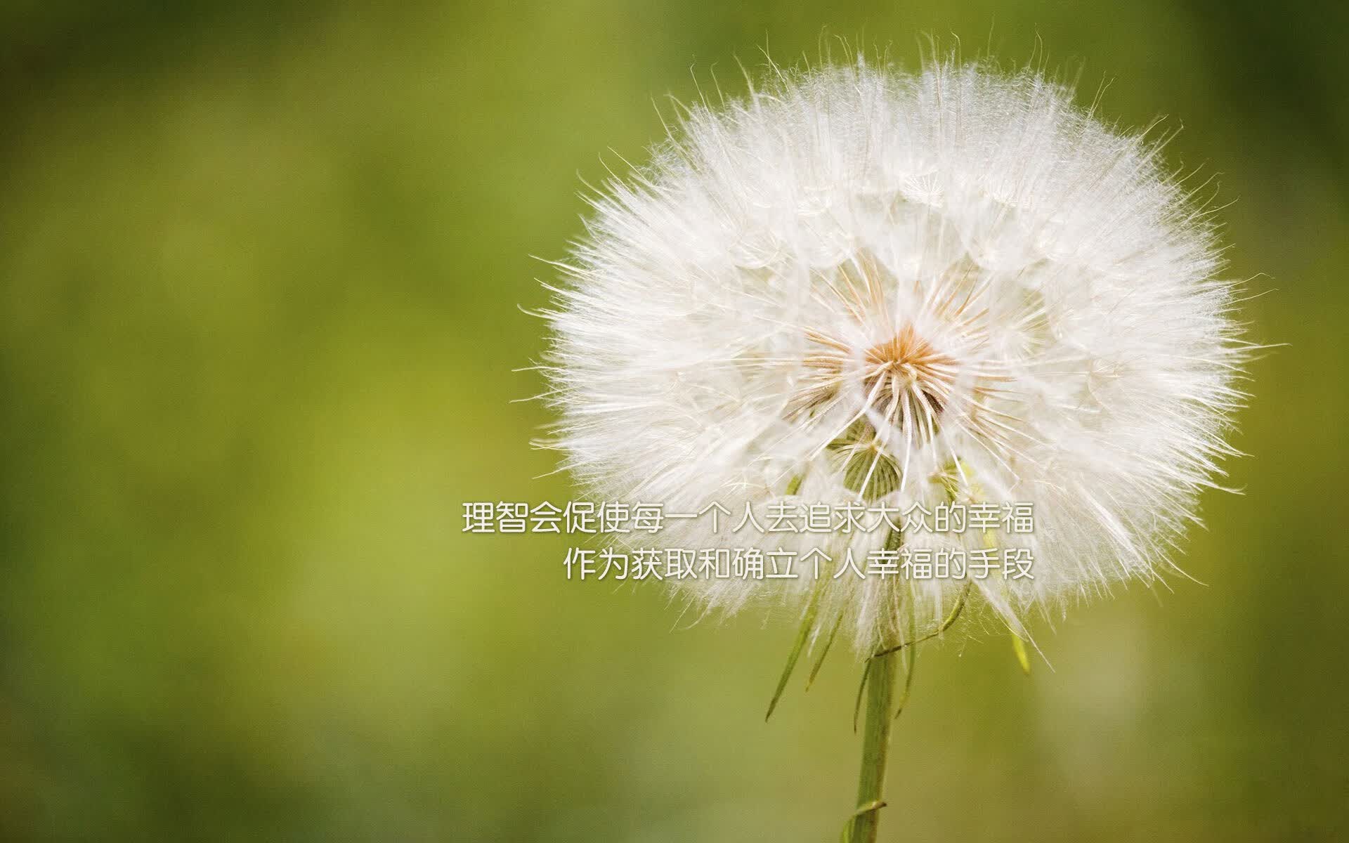 2026 体育保险理赔案例：攀岩爱好者在意外受伤后的理赔全流程。，体育保险是怎么报的